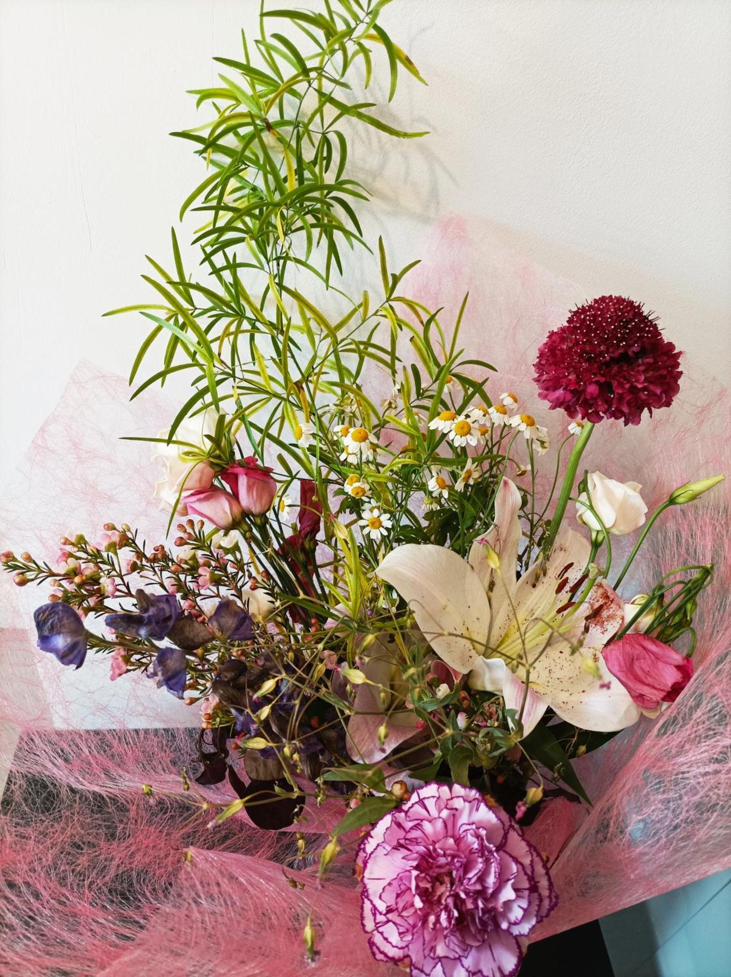 Panoramique Floral Centre Festival Photo Apartment ลา กาซิลยี ภายนอก รูปภาพ